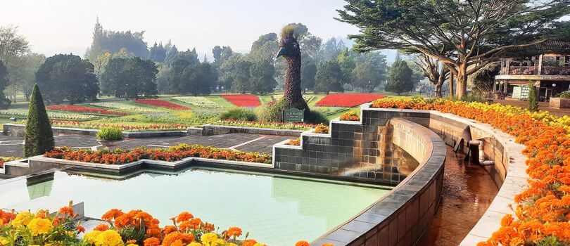 Top Tourist Places To Visit in Bogor