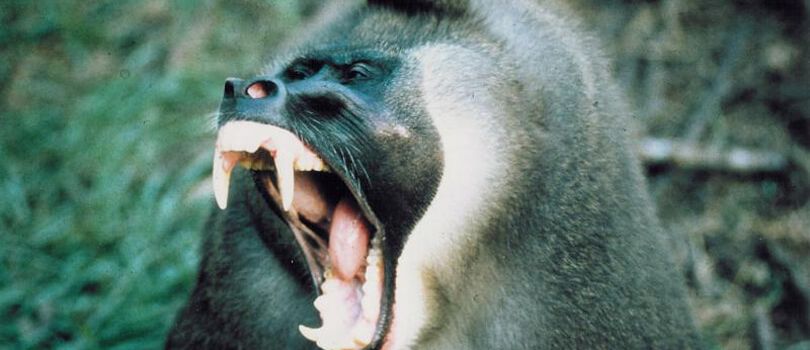 Top Tourist Places To Visit in Lagos State