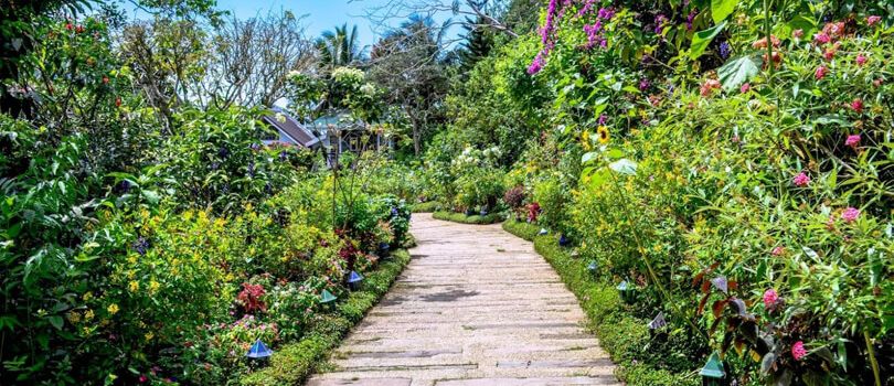 Top Tourist Places To Visit in Tagaytay