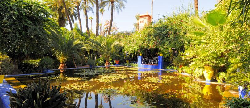 Top Tourist Places To Visit in Marrakesh