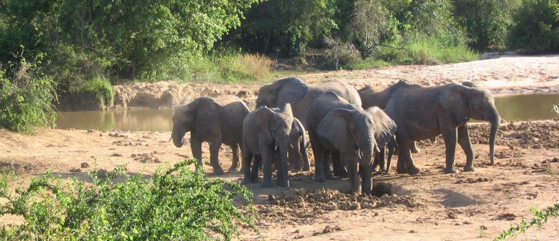 Top Tourist Places To Visit in Bauchi