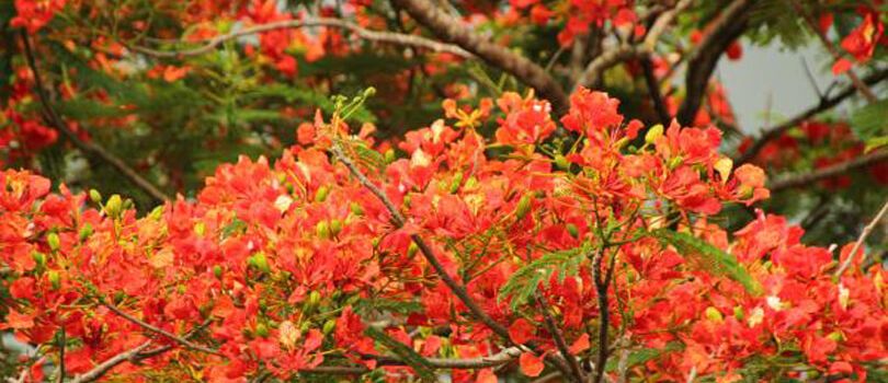 Top Tourist Places To Visit in Kisantu