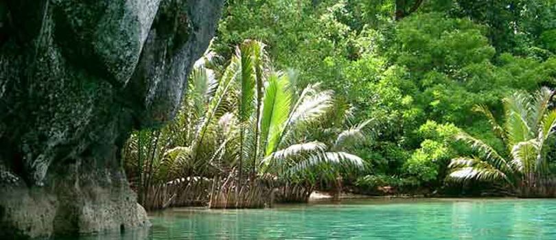 Top Tourist Places To Visit in Niamina East