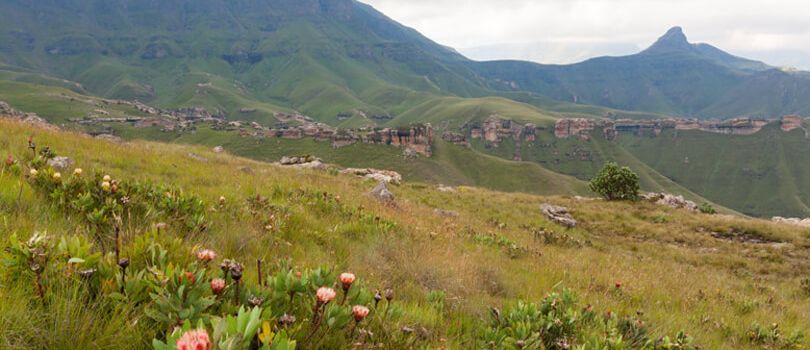 Top Tourist Places To Visit in Qachas Nek District