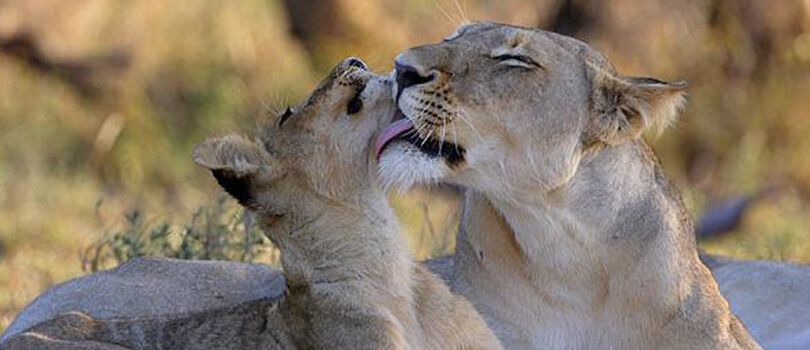 Top Tourist Places To Visit in Western Mali