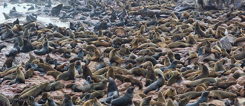 Top Tourist Places To Visit in Kunene