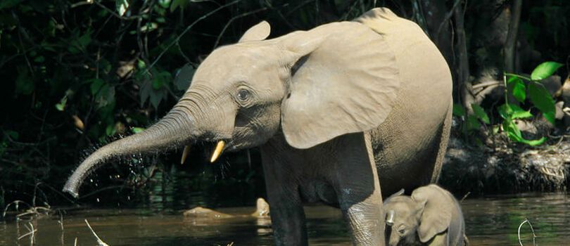 Top Tourist Places To Visit in Cross River