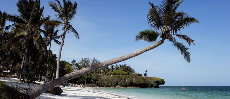 Top Tourist Places To Visit in South Coast