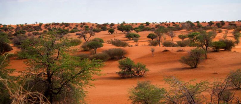 Top Tourist Places To Visit in Kalahari