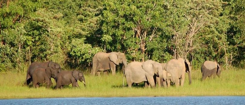 Top Tourist Places To Visit in Kasungu