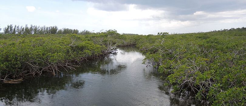 Top Tourist Places To Visit in Freeport