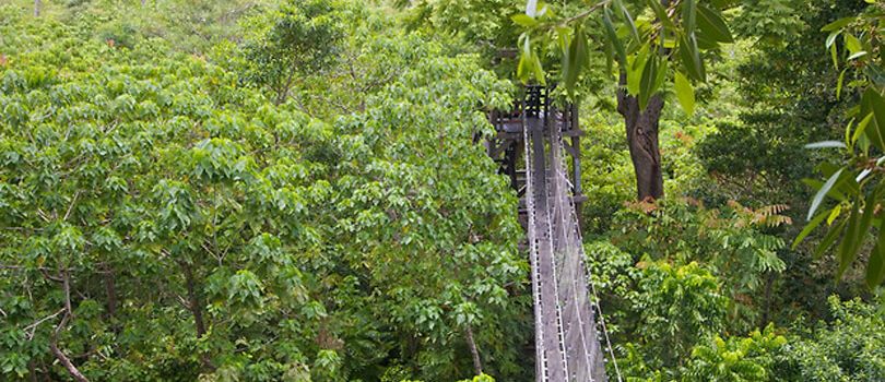 Top Tourist Places To Visit in Falealupo