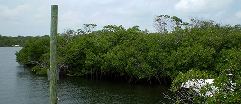 Top Tourist Places To Visit in Abaco Islands