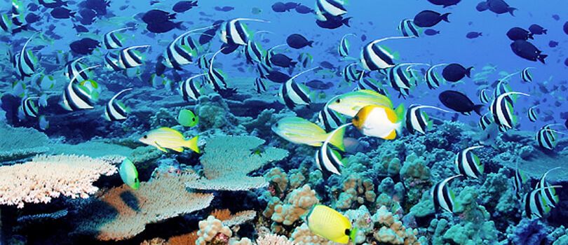 Top Tourist Places To Visit in Apia