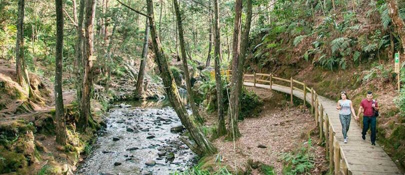 Top Tourist Places To Visit in Medellín