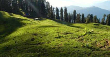 Dehradun Travel Guide