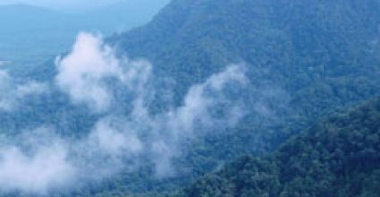 Shimoga Travel Guide