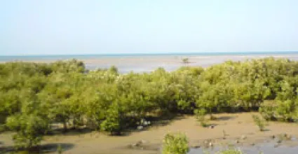 Jamnagar Travel Guide