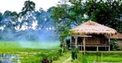 Dibrugarh Travel Guide