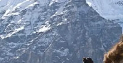 Ravangla Travel Guide