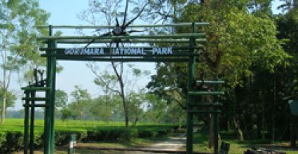 Jalpaiguri Travel Guide