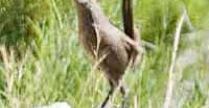 Valparaiso Travel Guide