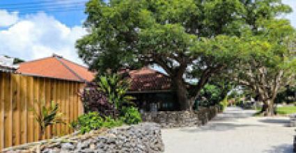 Okinawa Travel Guide