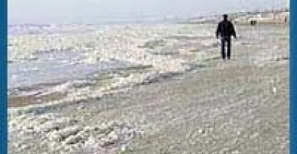 Zandvoort Travel Guide