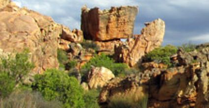 Western Cape Travel Guide