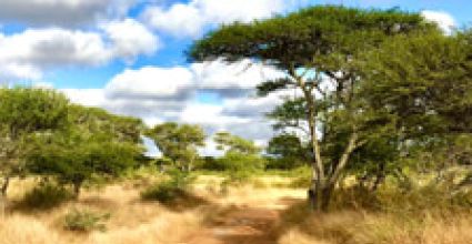 Limpopo Travel Guide