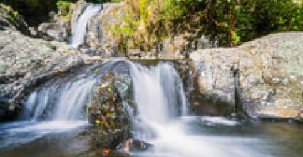 Bay Of Plenty Travel Guide