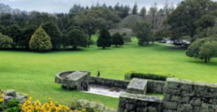 Auckland Travel Guide