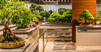 Canberra Travel Guide