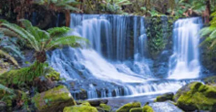 Tasmania Travel Guide