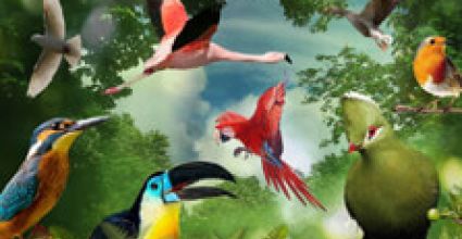 Garden Route Travel Guide