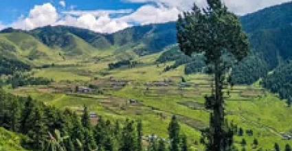 Wangdue Phodrang Travel Guide