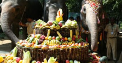 Yangon Travel Guide