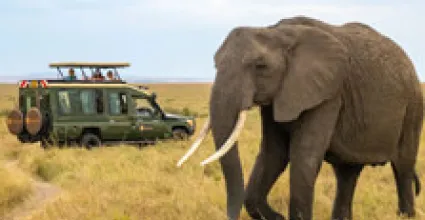 Marsabit Travel Guide