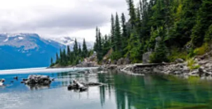 Vancouver Travel Guide