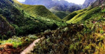 Stellenbosch Travel Guide