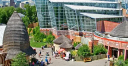 Calgary Travel Guide