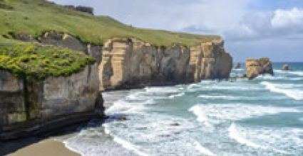 Dunedin Travel Guide