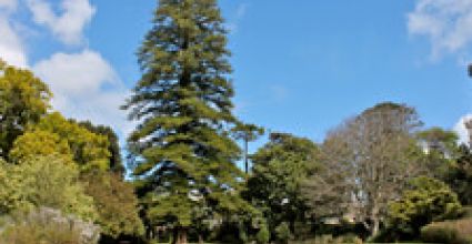 Landsdown Travel Guide