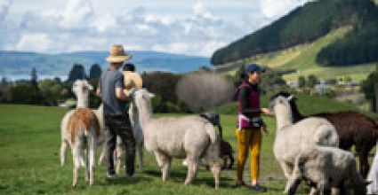 Rotorua Travel Guide