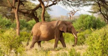 Bulawayo Travel Guide