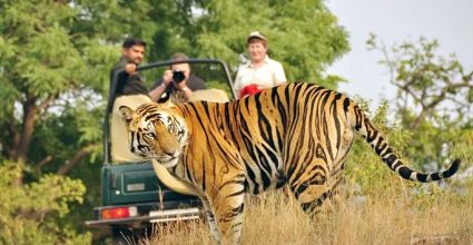 Corbett Travel Guide