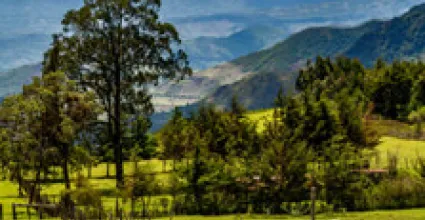 Eldoret Travel Guide