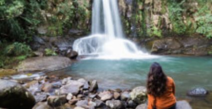 Whitianga Travel Guide