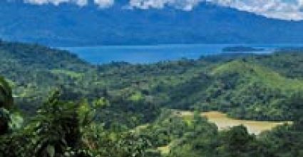 Pedro Sula Travel Guide