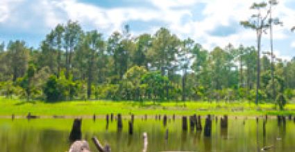 Koh Kong Travel Guide